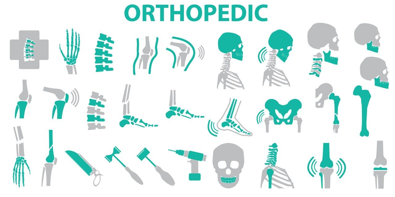Orthopedic Orthopedic Definition
